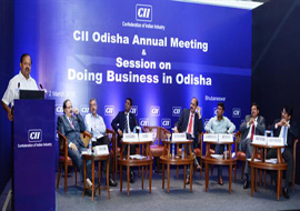 'Doing Business in Odisha' seminar by CII