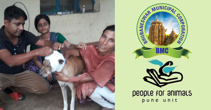 BMC and PFA collaborate for animal welfare BMC and PFA collaborate for animal welfare
